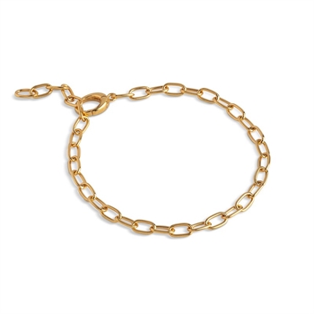 Enamel Medium Charm armbånd i forgyldt sølv B143G